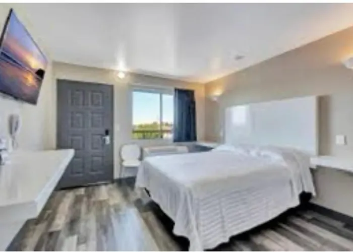 Mint Motel *